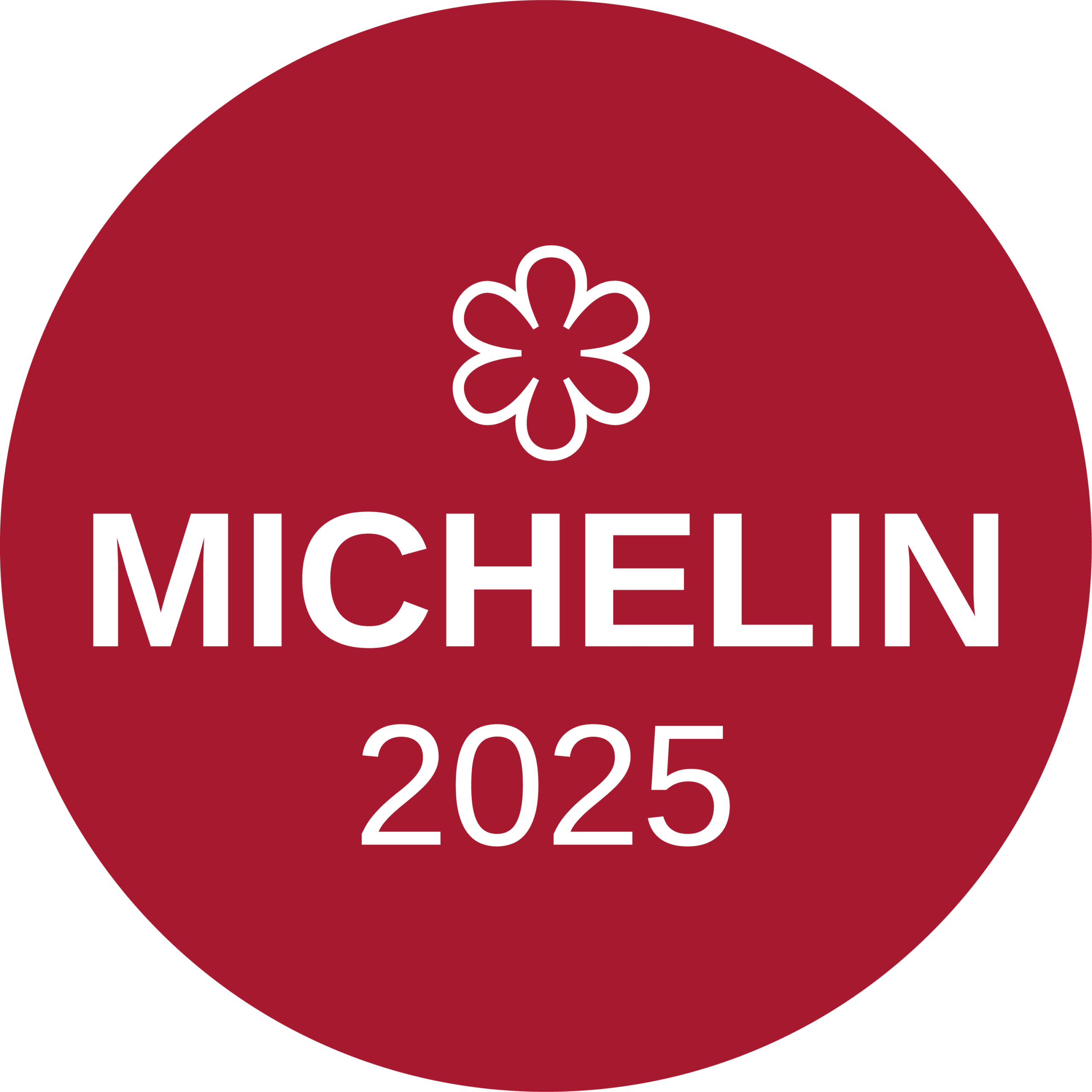 Michelin Stern